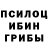 Псилоцибиновые грибы мухоморы darisha di