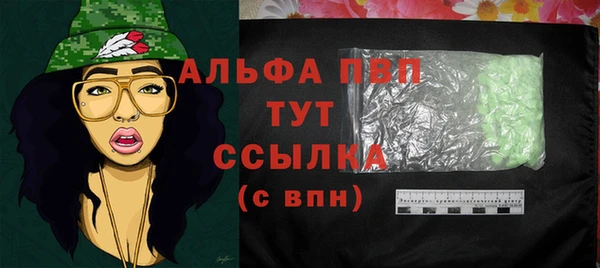 гашик Алексин