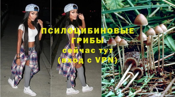 герыч Осинники